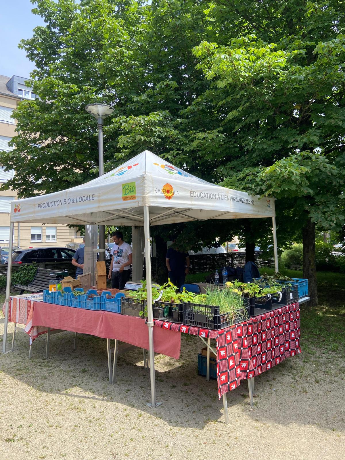 CIGL présent avec leur stand 