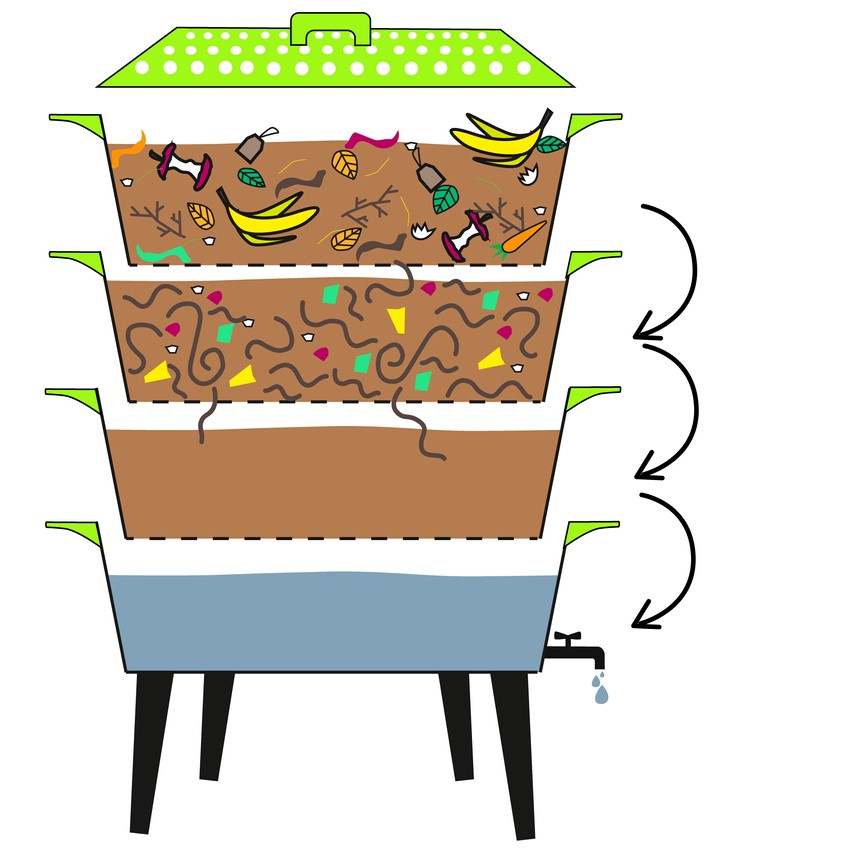Lombricomposteur design et vers de compost
